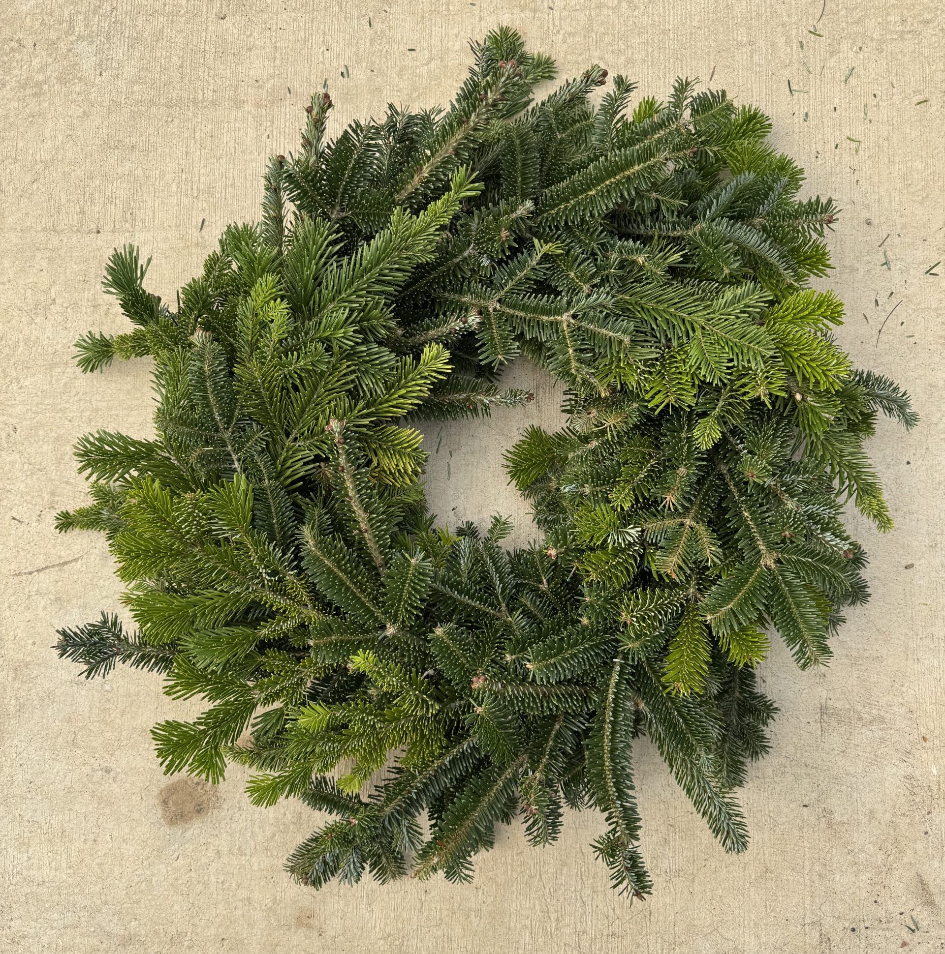 Foliage Box - Image 2